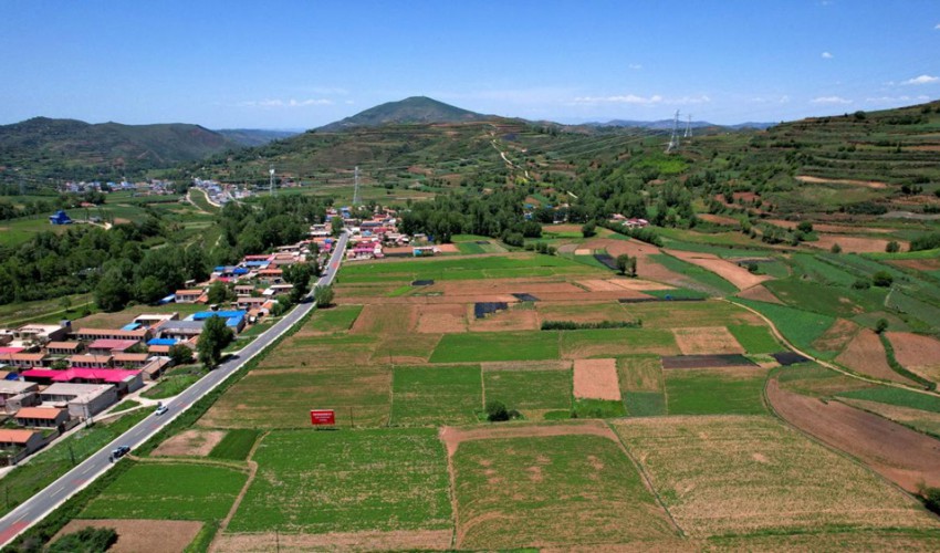 ä¸­è¯æç§æ¤