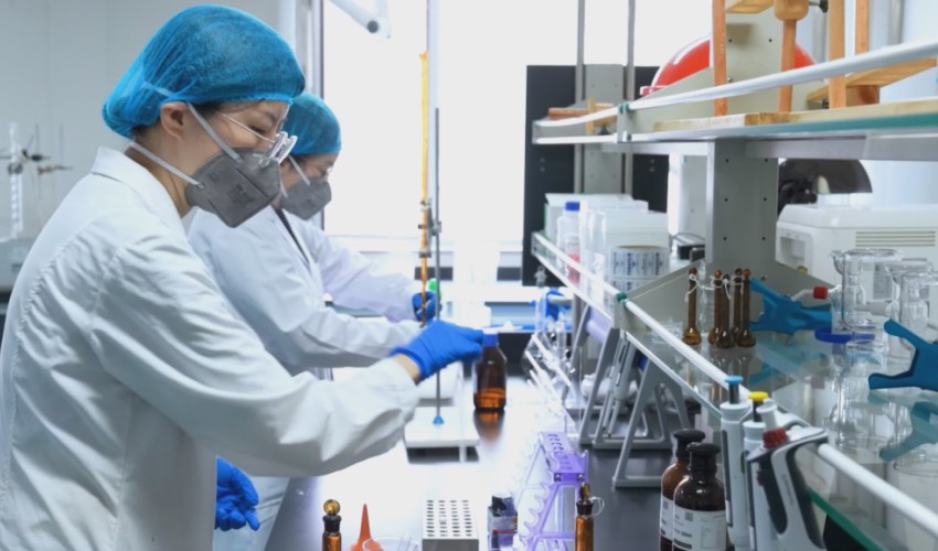 å»è¯ç å