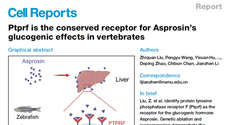 ãéå¢è¦é»ãçèè¯ä¸éå¢è¯ç©ç åææé¦æ¬¡ç»ä¸å½éæå¨æå