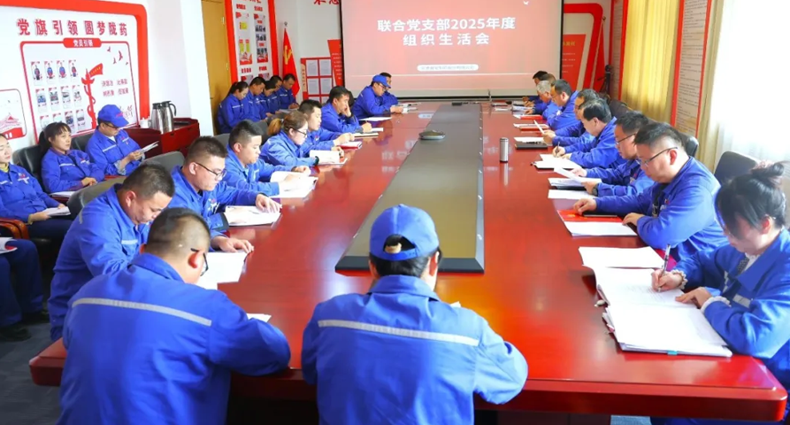 ãæ®å®æ°é»ãä¸¥èååæ¿æ²»çæ´» åèçäº§æ»åååä¸¨èåæ¯é¨2025å¹´åº¦ç»ç»çæ´»ä¼æ¨æ°ä¸»è¯è®®ååå¤§ä¼é¡ºå©å¬å¼